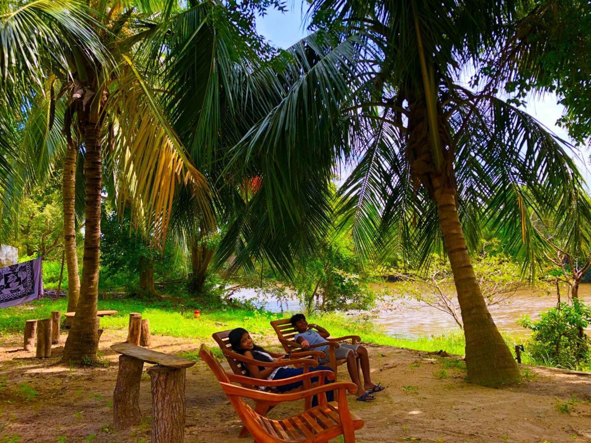 Wilpattu Green Cabin Achchamulai Exterior foto